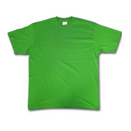 Stedman Children's Budget T-shirt